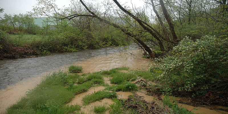 Muddy water entering trout stream
